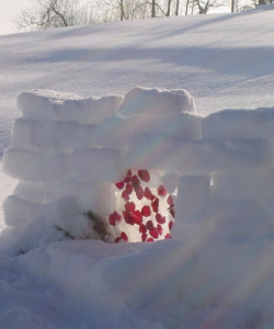 Schneekunst.jpg