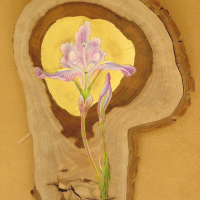2007 Iris
