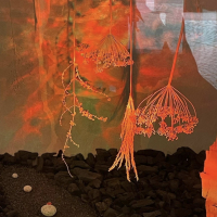 2025 ECHO, Installation Nicole Dinand und Viz Michael Kremietz, Detail 3